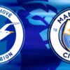 Brighton & Hove Albion vs Manchester City