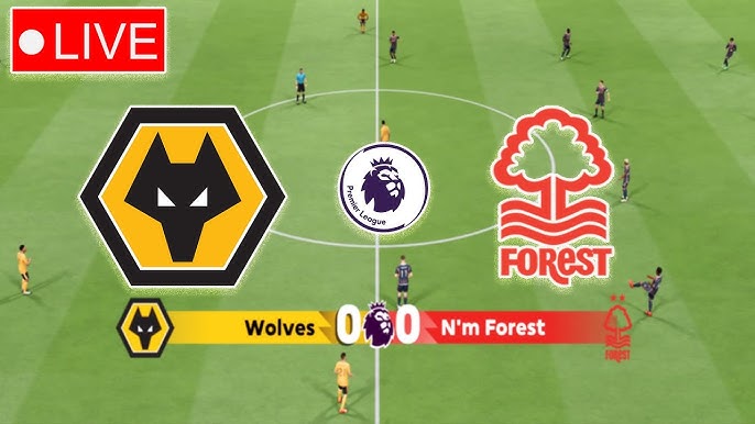 Wolves vs Nottm Forest